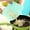 Mint Green, variant on Usbinx Life Set of Food-Safe Non-Slip Color Cutting Boards 29x19cm Multi Use Kitchen Mats Dishwasher Safe