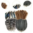 thumbnail image 6 of Tachiuwa Crafts Feathers Artificial Feather Decorative Art Supplies Ornament Colorful Feathers Handicraft Accessories for DIY Crafting 40pcs, 6 of 9