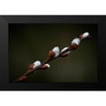 thumbnail image 2 of Cseresnjes, Anna 14x11 Black Modern Framed Museum Art Print Titled - Early spring, 2 of 5