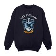 thumbnail image 1 of Harry Potter Boys Ravenclaw Sweatshirt, 1 of 6