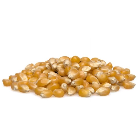 Popping Corn Yellow