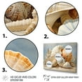 thumbnail image 3 of Designart "Seashells Contemporary composition" Animals Floater Framed Wall Art Print, 3 of 7
