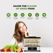Rosewill Compact Rectangular Food Dehydrator, Brushed SS Outer housing, 5 layer trays (Entry model)