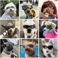 thumbnail image 4 of Shopping Mall Dog Goggles Anti-UV Adjustable Transparent Dog Sunglasses Easy to Wear Windproof Motorcycle Puppy Glasses (Transparent Black), 4 of 5