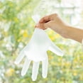 thumbnail image 2 of 100 Pieces TPE Plastic Gloves Disposable Gloves, XL, 2 of 5