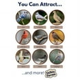 thumbnail image 6 of Valley Farms Cracked Corn Wild Bird Food for Outside Ducks, Geese, and Birds (5 LBS), 6 of 7