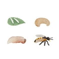 thumbnail image 2 of WREESH 4 Piece Insect Figure Insect Life Cycle Plastic Brood To Mature Period, 2 of 6