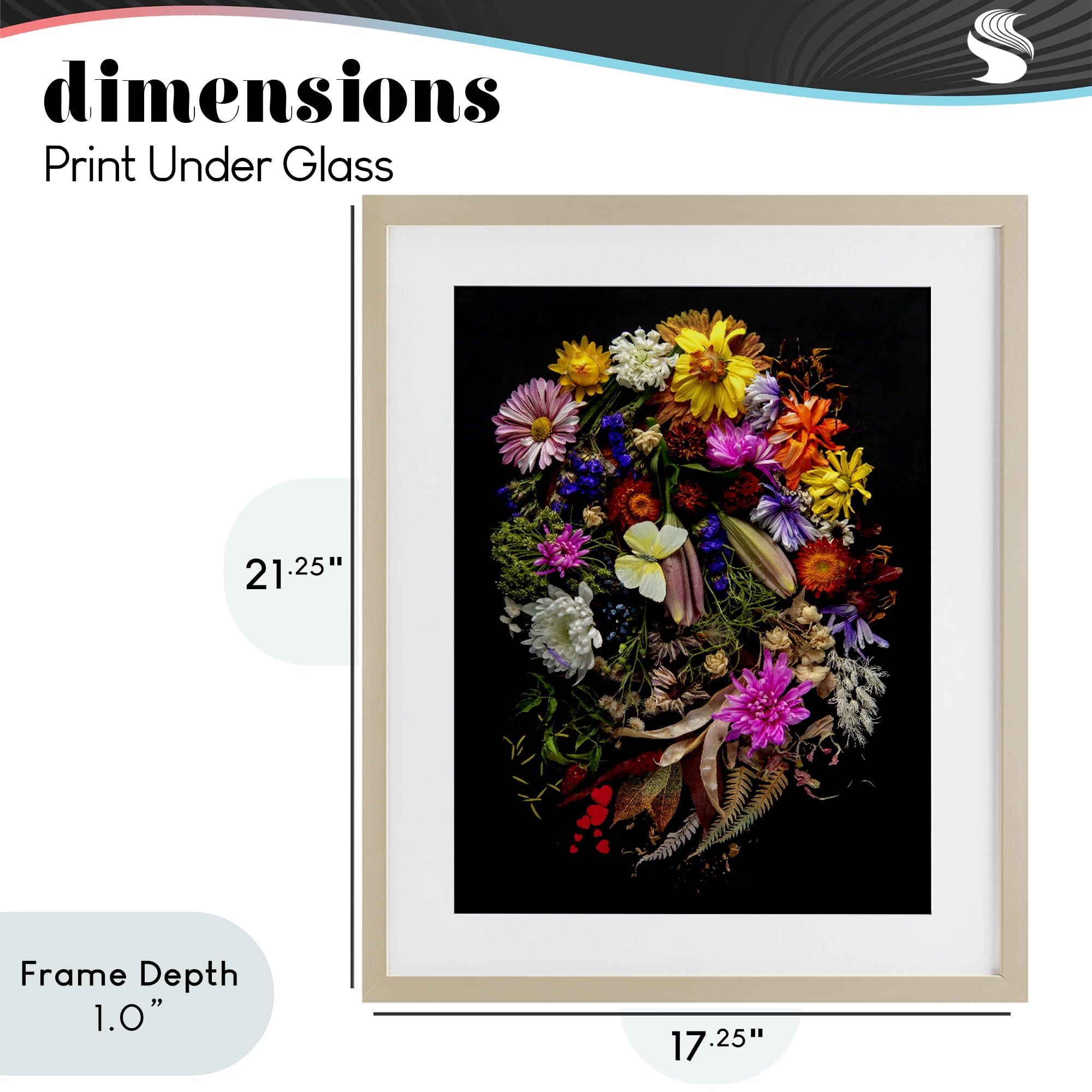 Stupell Industries November Flower Arrangement Birch Framed Print Under Glass, design by Carl Kravats