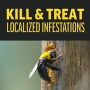 Amdro Quick Kill Carpenter Ant, Bee, Termite Killer Foam 18oz 2 Pack Bundle