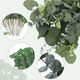 thumbnail image 3 of 30p Hojas De Eucalipto Artificial 4 Tipos Plantas Para Ramo Xtellar Verde, 3 of 3