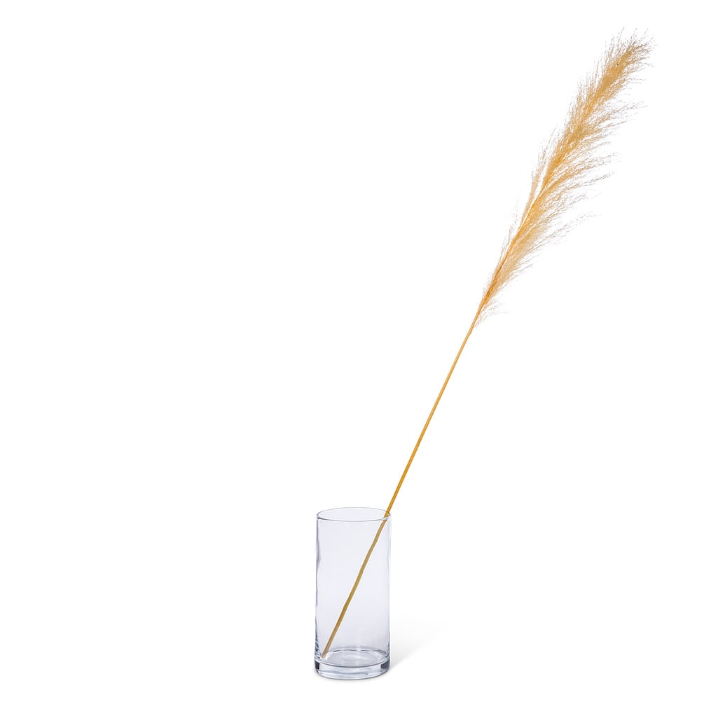 Extra Large Pampas Grass