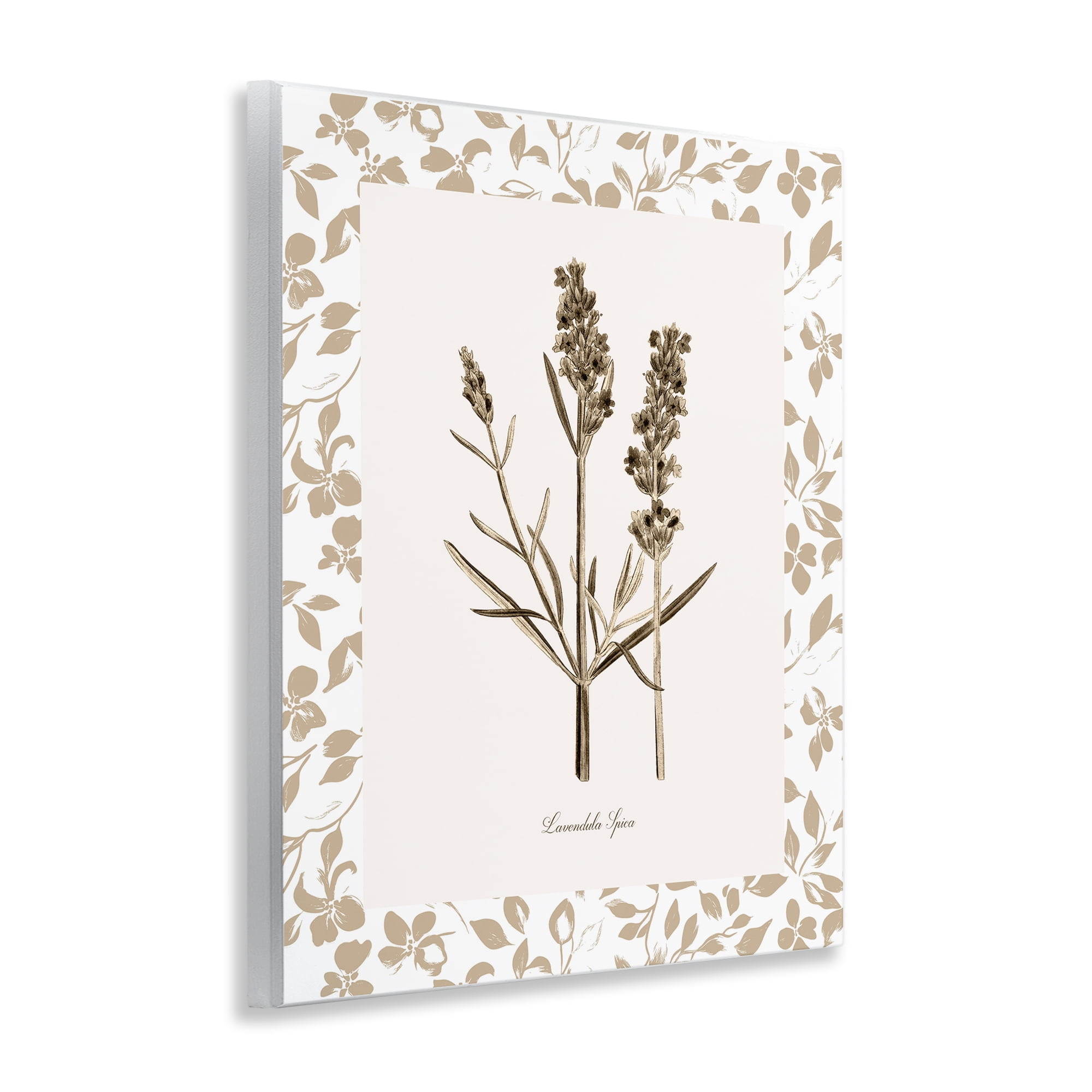 Stupell Industries Neutral Imperial Herb Study Wall Plaque Art, design by Kelly Donovan