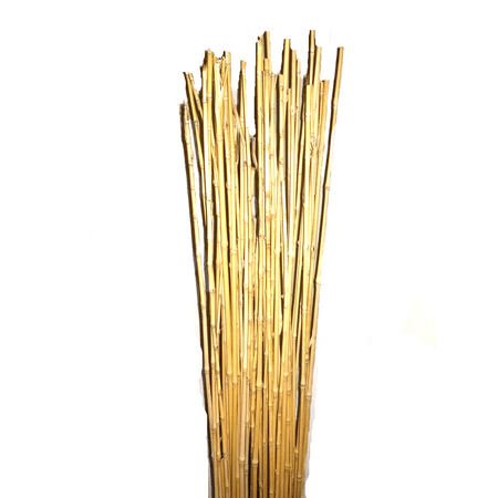 Natural Thin bamboo Stakes Over 5 Feet Tall - Pack of 20 - Natural