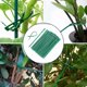thumbnail image 5 of 500 Count Adjustable Plant Support Ties, 17cm Flexible Garden Cables for Tomato and Plant Staking, 5 of 5