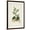 Brown Frame, variant on Art.com Antique Turpin Botanical III Art Print by 0 Turpin, 12" x 18"