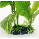 thumbnail image 3 of Acuario de plástico Artificial, pecera decorativa acuática verde, planta de hoja de loto, hierba ondulada, 24cm Rojo Verde, 3 of 5
