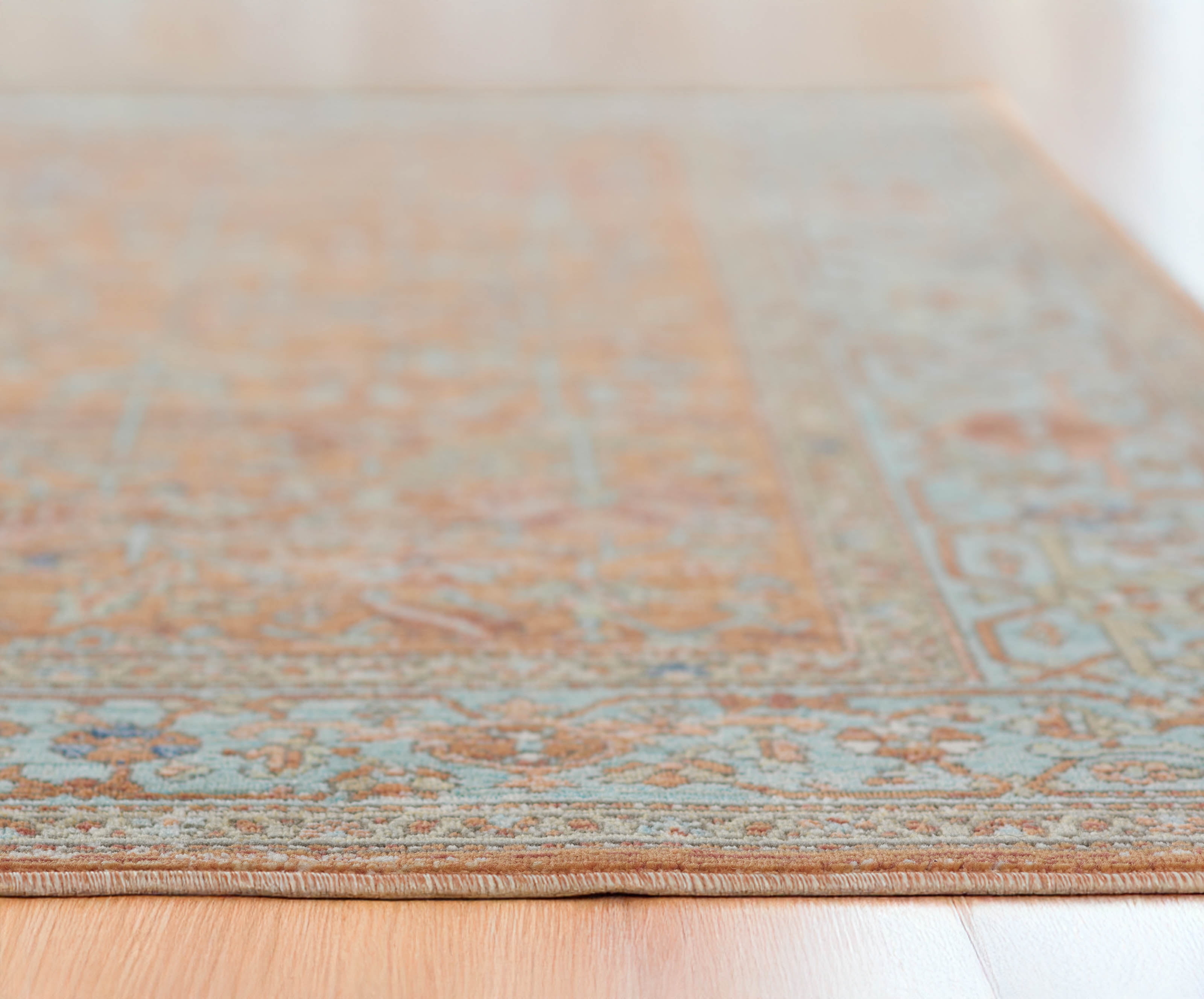 ECARPET Hailey Traditional Area Rug for Living Room, Bedroom, Dining Entrance