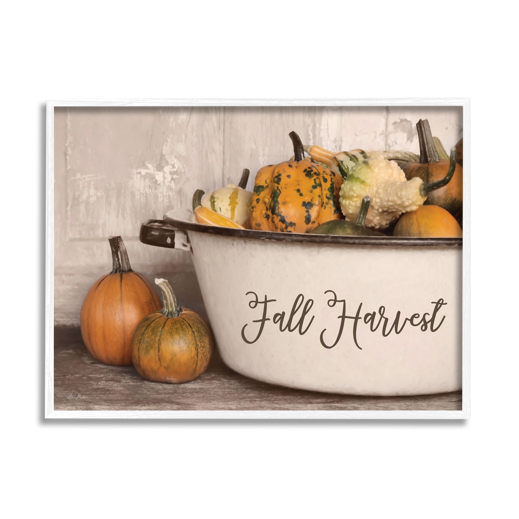 Fall Harvest Bowl Gourds Pumpkins Arrangement Still Life Botanical & Floral Graphic Art Framed Art Print Wall Art