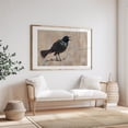 thumbnail image 4 of The Mighty Grackle - Minnesota Photography Bird Wildlife Nature Animal Scenic Woodland Unframed Wall Art Print 20 x 28 inches, 4 of 7