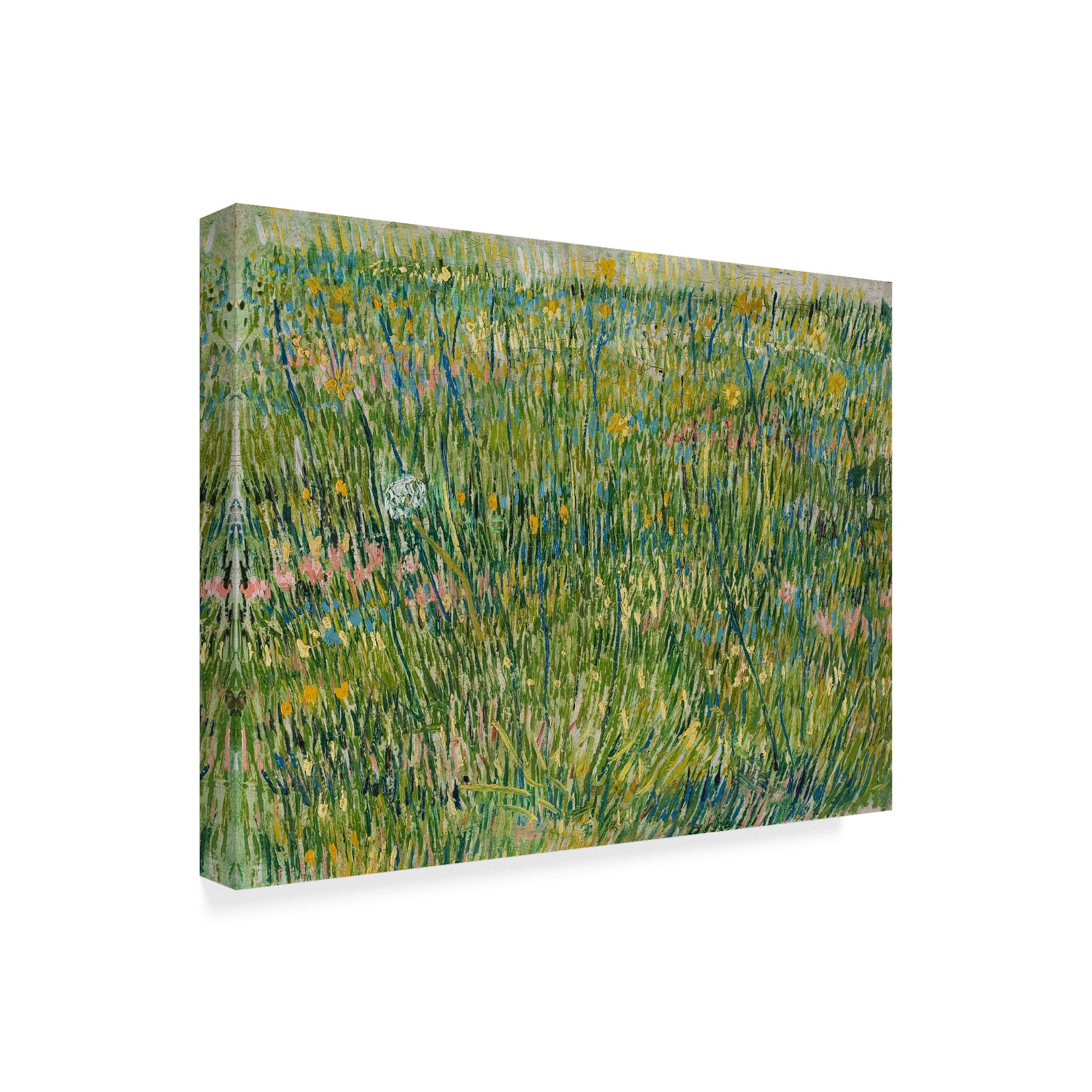 Trademark Fine Art 'Patch of Grass, April-June 1887' Canvas Art by Vincent van Gogh