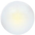 thumbnail image 6 of SYLVANIA 168 WHITE ZEVO LED Mini, Pack of 1, 6 of 7