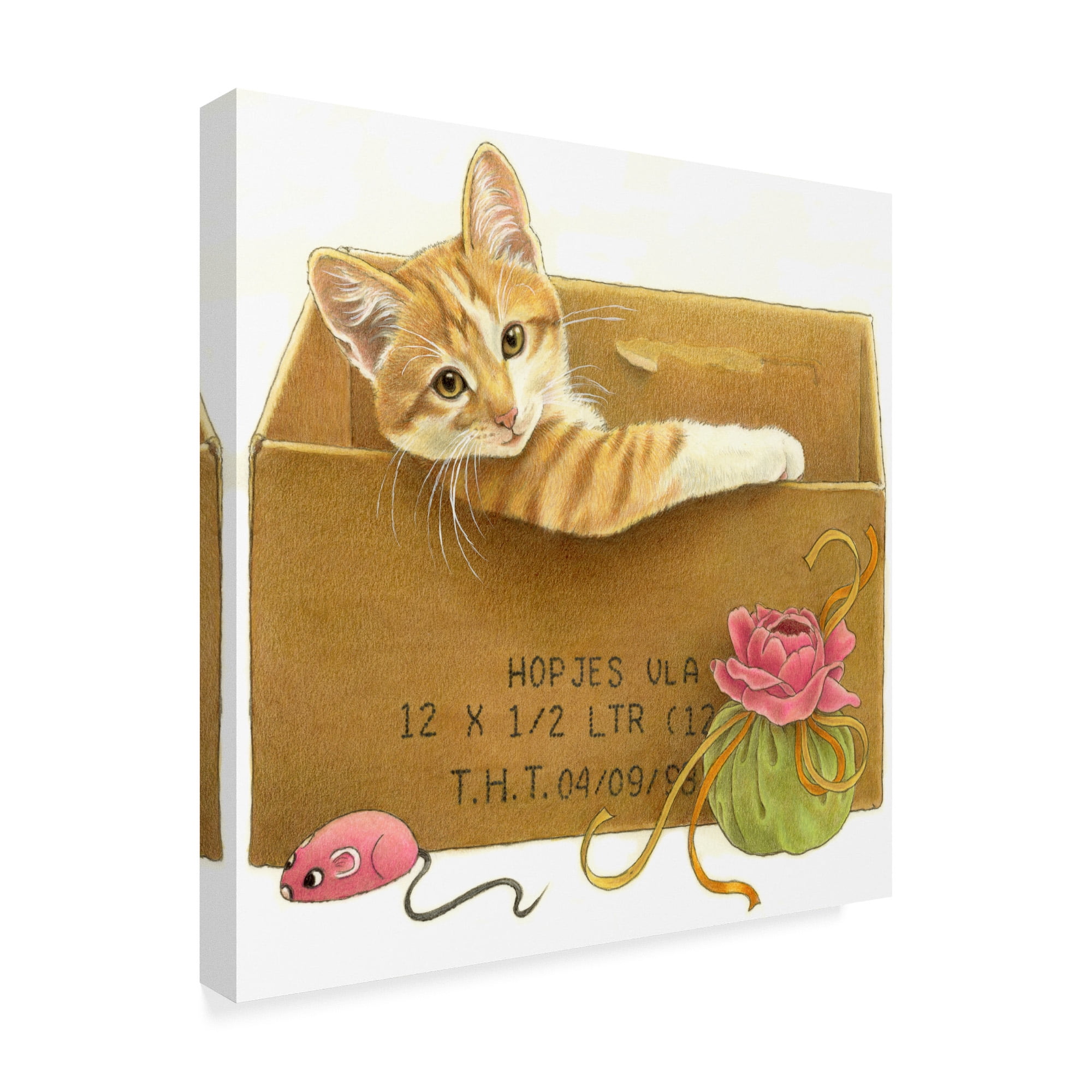 Trademark Fine Art 'Orange Cat In Box' Canvas Art by Francien Van Westering