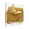 thumbnail image 2 of Trademark Fine Art 'Orange Cat In Box' Canvas Art by Francien Van Westering, 2 of 3