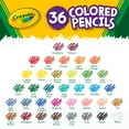 thumbnail image 7 of Crayola Colored Pencil Set, 36-Colors, School Supplies, Beginner Unisex Child, 7 of 7