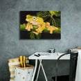 thumbnail image 4 of Epic Graffiti 'Musky Flying Frog' by Barbara Keith, Canvas Wall Art, 26"x18", 4 of 8