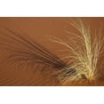 thumbnail image 2 of Young, Bill 14x11 White Modern Wood Framed Museum Art Print Titled - Tuft of grass in the Namib Desert, Namibia, 2 of 4