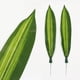 thumbnail image 3 of unbranded 10Ud Plantas Decorativas Sin Mantenimiento Con Hojas Para Manualidades Y Arreglos Tropicales, 3 of 8