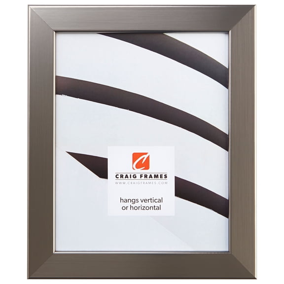 Craig Frames Bauhaus 125, 24 x 24 inch Picture Frame, Modern Stainless Silver