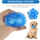 thumbnail image 2 of Paket med hundbollar, hundpipbollar, tuggbollar, hundbollar för små och medelstora hundar att tugga, jaga och leka blå/grön/orange, 2 of 5