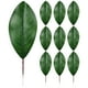 thumbnail image 1 of KAKOWELY 10 piezas de hojas verdes artificiales de magnolia para decoración de arreglos florales., 1 of 4