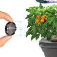thumbnail image 4 of Kit de separadores para plantas Ulrempart, paquete de 25, negro, compatible con varios modelos, 4 of 7