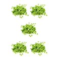 thumbnail image 1 of Dalazy 400 Pcs Sequins Ronds en Vrac 7mm Couture Verte 5ensemble, 1 of 6