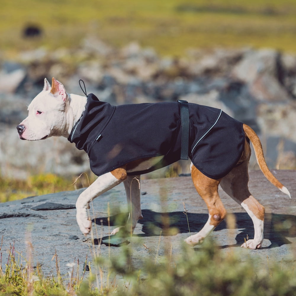 Lowestbest Water Repellent Softshell Dog Jacket, Pet Clothes with High Neckline Collar Cold Weather Lowestbest Water Repellent Softshell Dog Jacket, Pet Clothes with High Neckline Collar Cold Weather