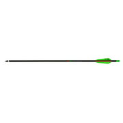 TenPoint Crossbow Arrows - Non-Lighted Pro-V 22 Carbon Arrow 22" and Nocks .003"