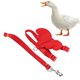 thumbnail image 2 of M Buder Arnés y Correa Ajustable para Patos, Pollos y Gansos, Cuerda de Tracción para Mascotas Pequeñas, Chaleco de Caminata al Aire Libre, Rojo, M, 38.1 cm / 15 inches [cite: 72], 2 of 9