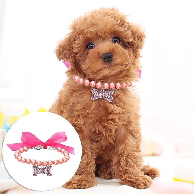 Collier pour Animaux Réglable avec Pendentif Perle et Os Élégant pour Petits Chiens et Chats