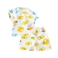 thumbnail image 1 of Ensemble de Pyjamas pour Fillettes, Col Rond, Confort Doux, Mode, Taille 12-18 Mois, Vêtements pour Enfants, 1 of 7