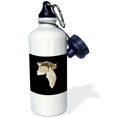 

3dRose Evening Bat leaving Day roost in tree hole Texas - NA02 RNU0128 - Rolf Nussbaumer Sports Water Bottle 21oz