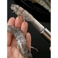 thumbnail image 2 of Stainless Steel Shrimp Gut Cleaner - Seafood Sheller - Shrimp Shell Cutter - Portable Shrimp Gut Cleaner - Easy To Clean Kitchen Gadgets, Suitable For Lobster And Prawn Preparation, 2 of 8