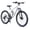Silver, variant on 24 Inch Mountain Bike, Full Suspension 21-Speed Mountain Bicycle with Dual Disc Brakes, Carbon Steel Frame MTB Bike for Teenagers Adult Men Women, Silver