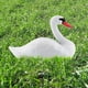 thumbnail image 4 of Swan Decoys, Floating Plastic Swan, White Swan Statue Decoration Pet Decoys, Simulation Swan Decoys, White Swan Statue, 4 of 5