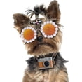 thumbnail image 4 of Dalrosia Dog Sunglasses Pearl Dog Sunglasses Small Medium Breed Girl Holiday Party Dog Costume Accessories, 4 of 4