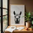 thumbnail image 6 of Baby Lama - Photography Llama Black and White Animal Portrait Wildlife Humor Minimalist Oak Framed Wall Art Print 20 x 30 inches, 6 of 59