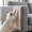 🔥 White_Hot#339, variant on Cat Wall Scratching Pad and Climbing Mat – Tall Wall Mounted Cat Scratcher with No Debris, Durable Non-Woven Surface for Indoor Cats and Furniture Protection