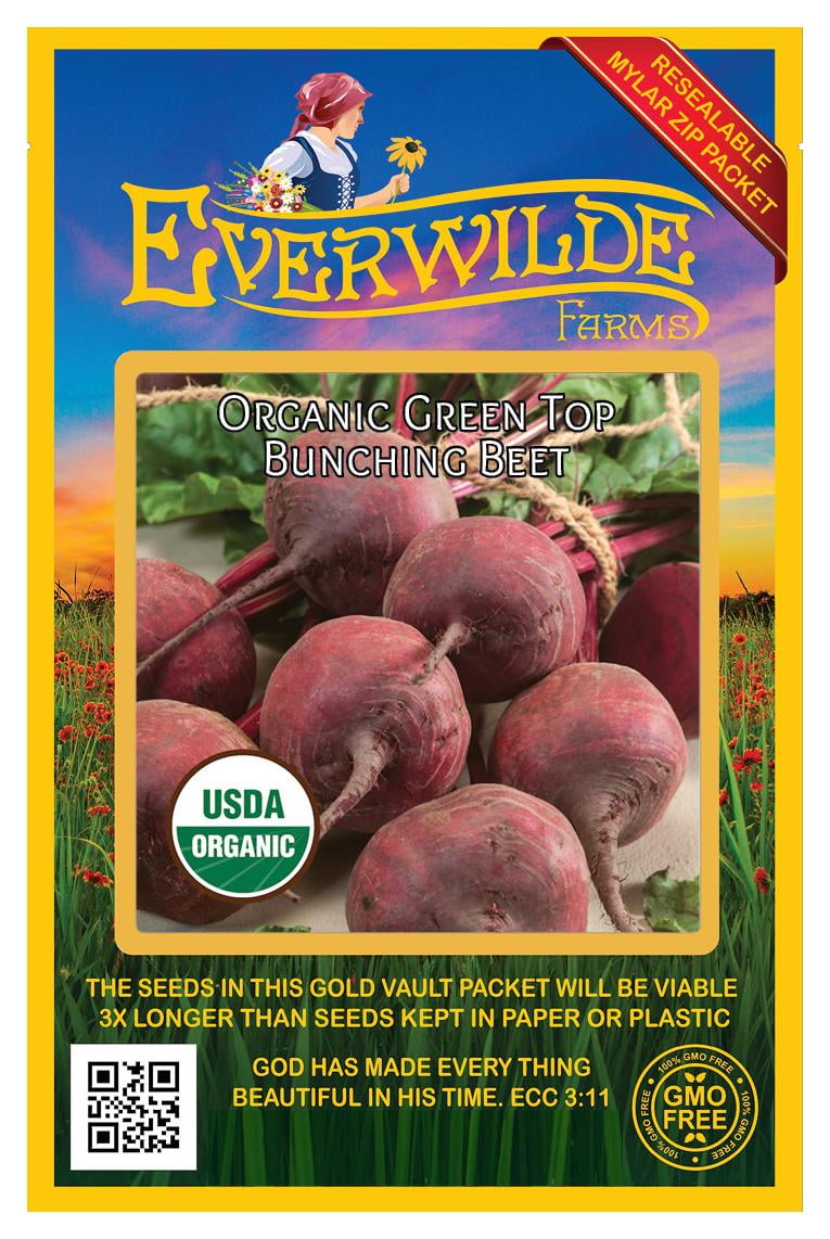 Everwilde Farms 500 Organic Green Top Bunching Beet Seeds Gold