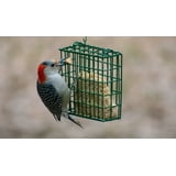 Free Shipping! C&S 11 oz Woodpecker Suet Treat Cake, Fresh Wild Bird